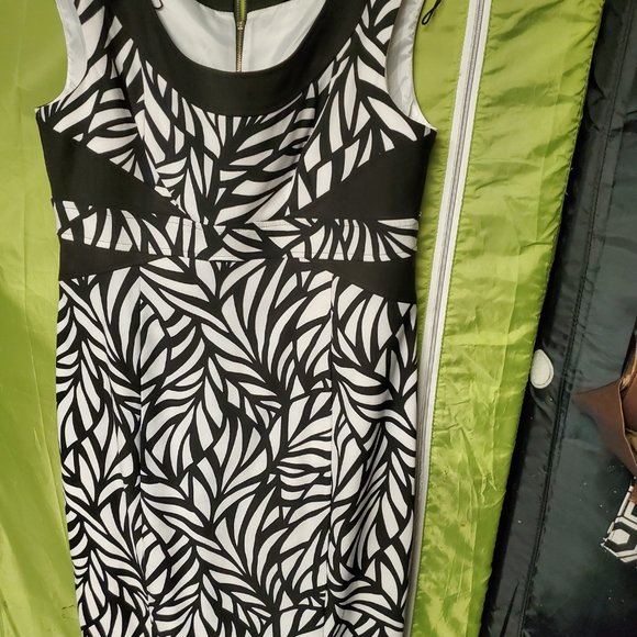 Dresses - Picture 5 of 8